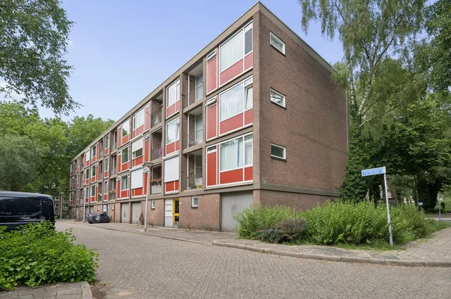 Pollenstein 14