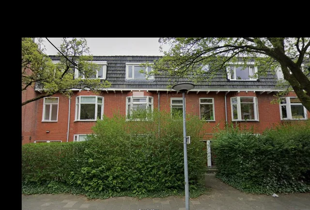 Professor Rankestraat