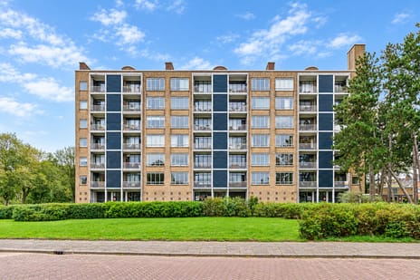 Van Alkemadelaan 1106
