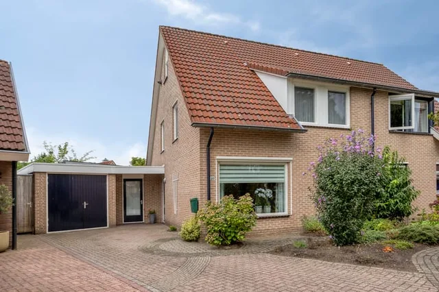 Boekweit 20