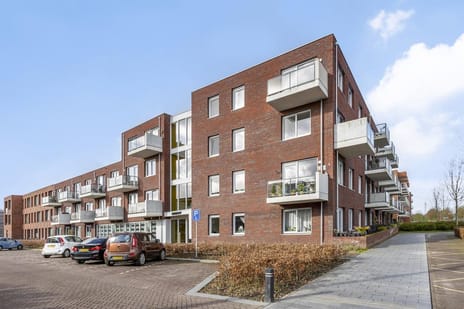 Gouwzee 66