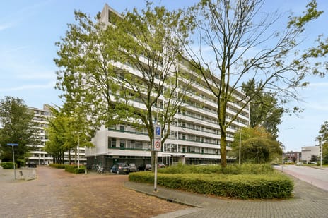 Sint Philipsland 85