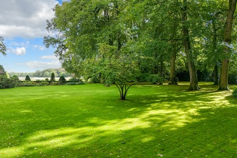 Groen van Prinstererlaan