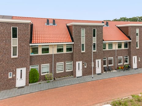 Springerstraat 46