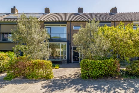 Petrusstraat 19