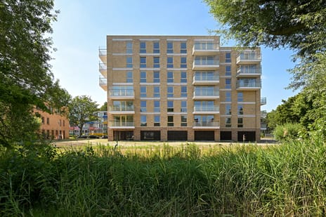 Boekweitkamp 125