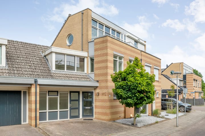 Ridderspoor 16