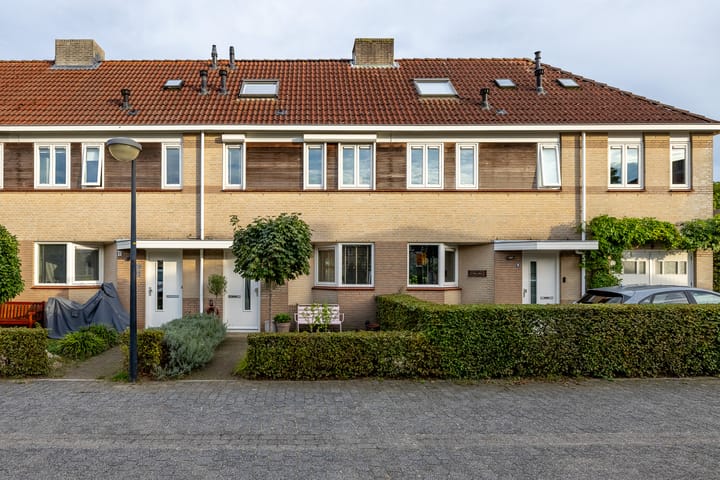 Rijndal 4