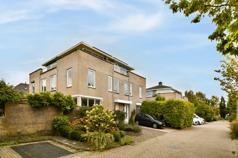 Witkopeend 9