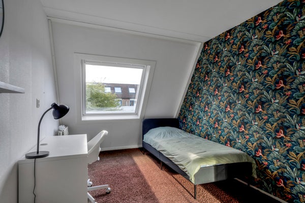 Molecatensingel