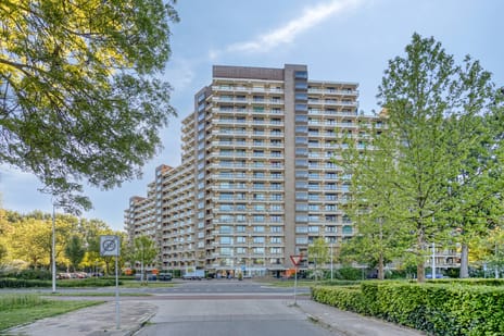Groningensingel 937