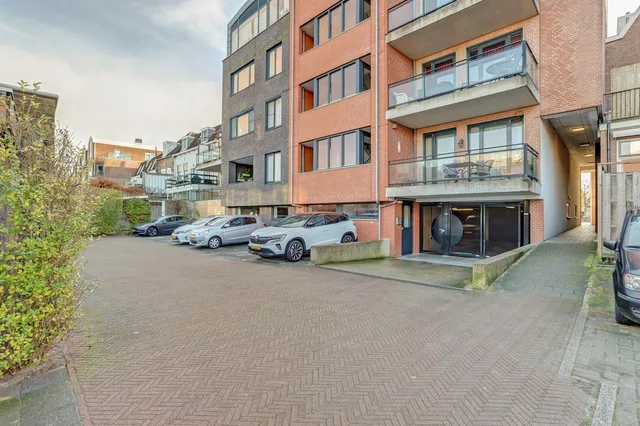 Kattensingel