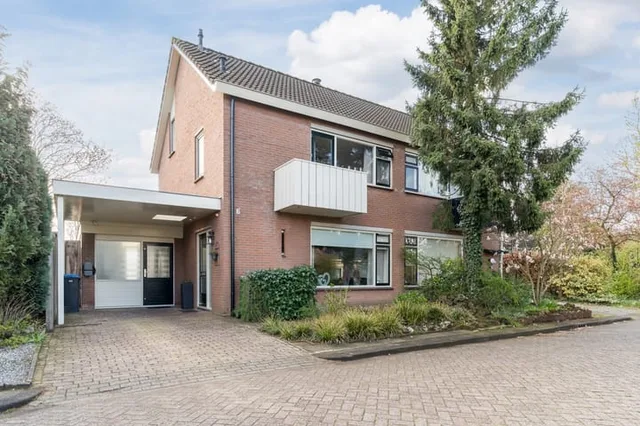 Ridderspoor 9