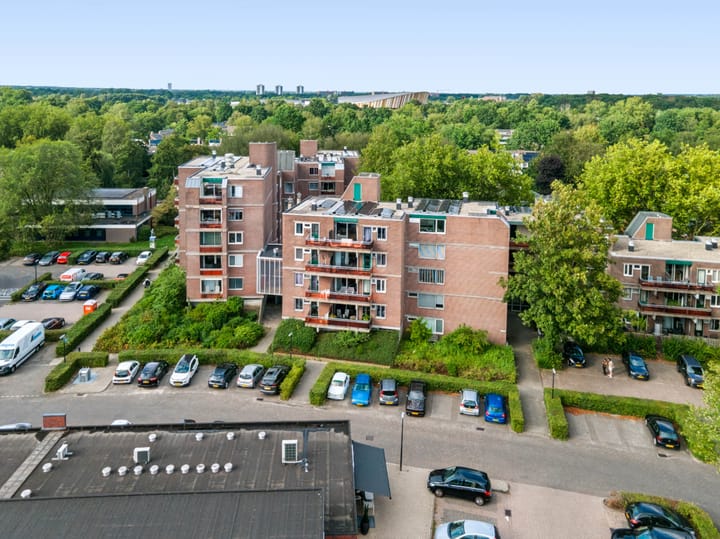 Houtsnijdershorst 119