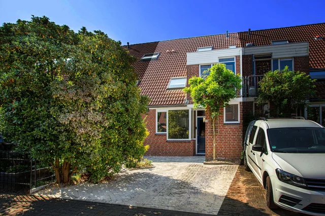 Goudvink 34