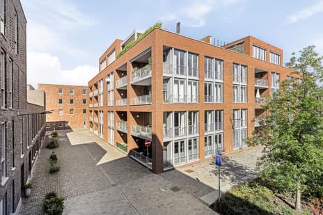 De Cassij 1-D08