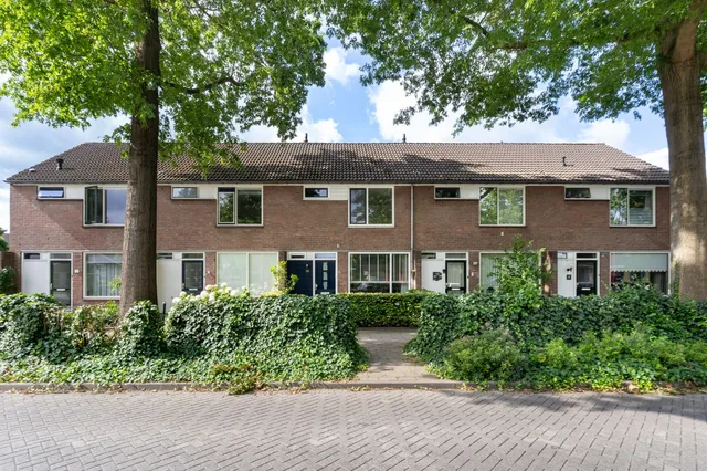 Lupinestraat 6