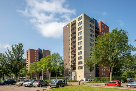 Fregelaan 55