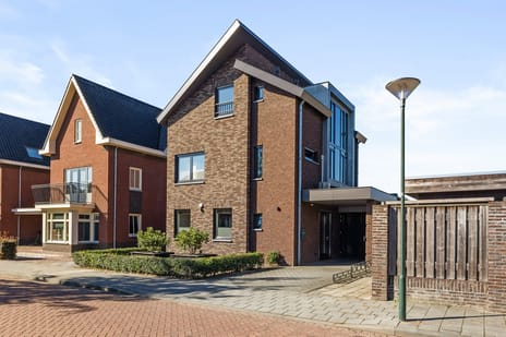Paardebloem 21