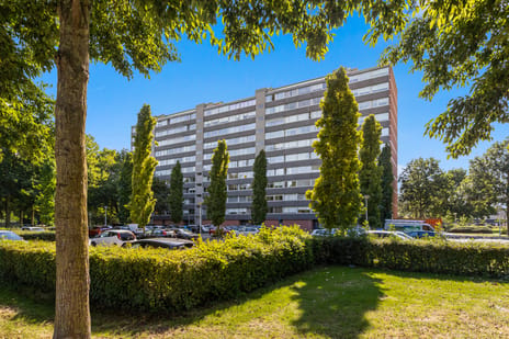 P.J. Oudstraat 256