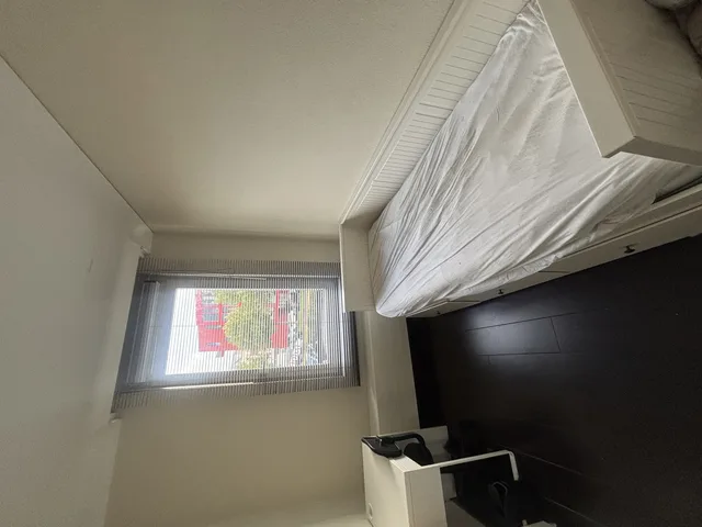 Beneluxlaan
