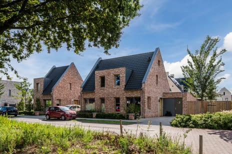 Zilverschoon 38