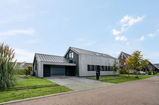 Groene Grens 4