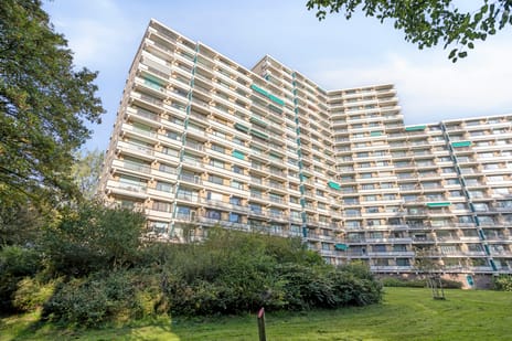 Groningensingel 883