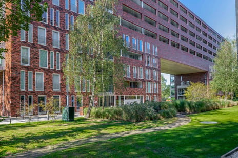 Abdijtuinen 231