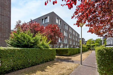 Goudslagersgaarde 20