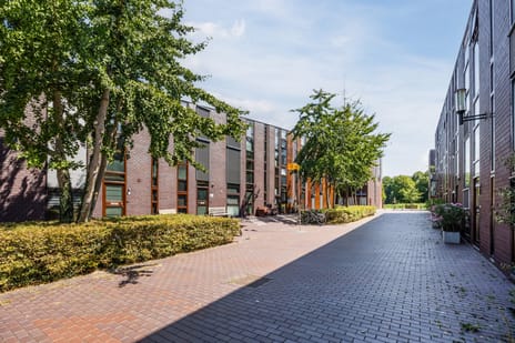 Klokjesbloem 7