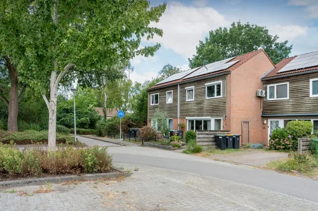 Huismus 5