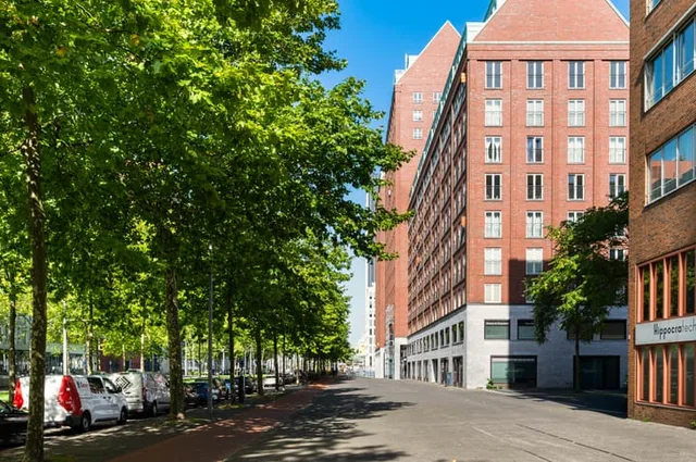 Laan op Zuid 320