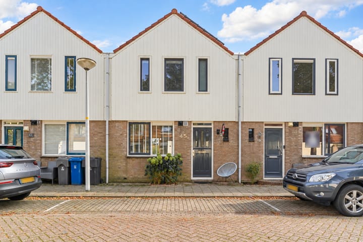 De Friese Poort 45