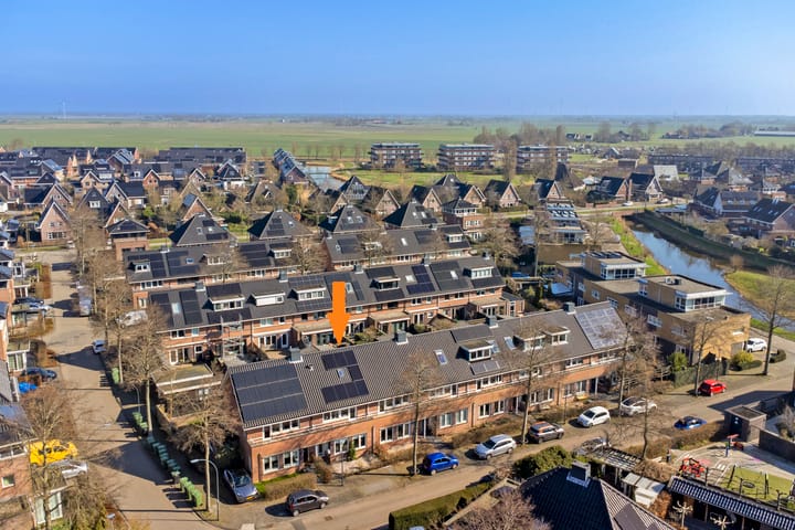 het Zwin 14