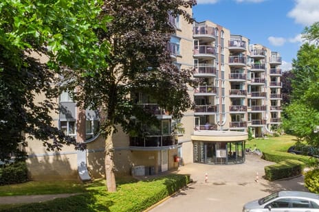 Putgraaf 207