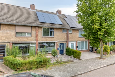 Adelaertstraat 37