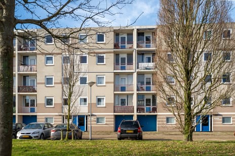 Schaepmanstraat 29