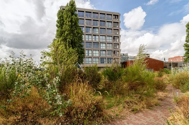 Fonteinkruidstraat 80