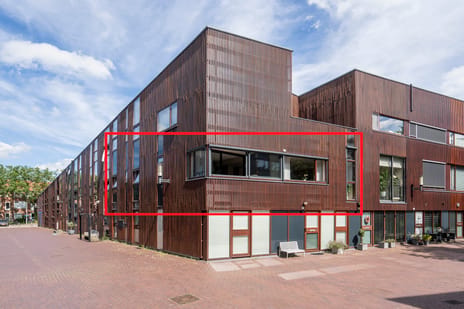 Dotterbloem 9