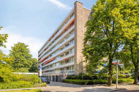 Vlaskamp 486