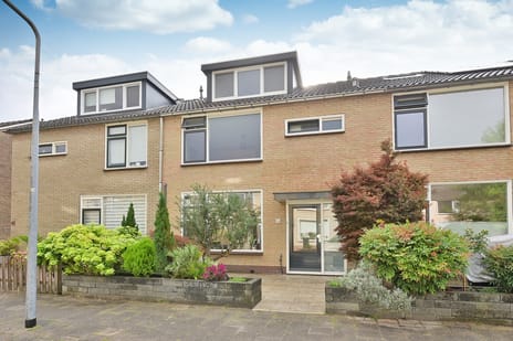 Calvijnhof 24