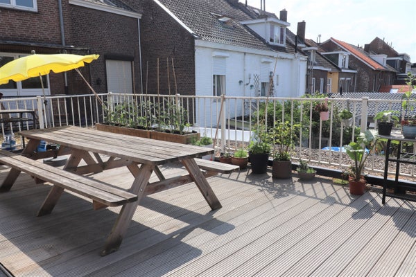 Paltsstraat