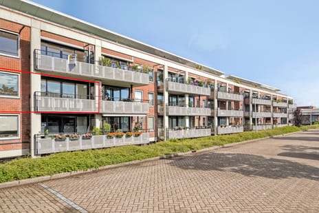 Dubceksingel 92