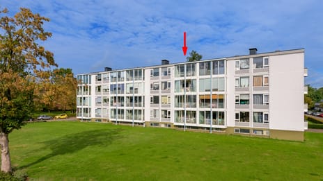 Eburonenstraat 41