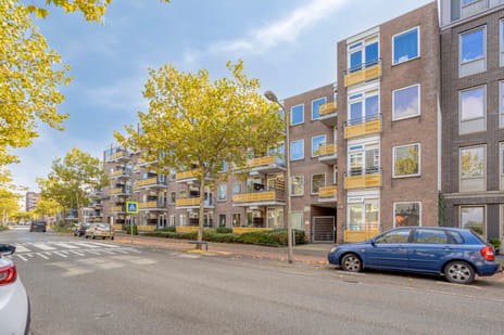 Zuidvliet 406