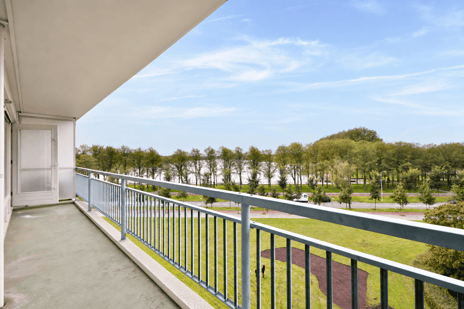 Burgemeester Hogguerstraat 537