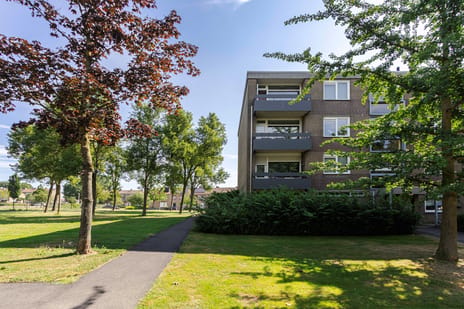 Palmstraat 66