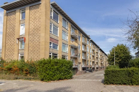 Tolsteegplantsoen 3