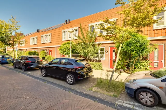 Druifstraat 28